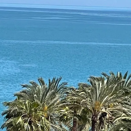 La Paloma - Giron